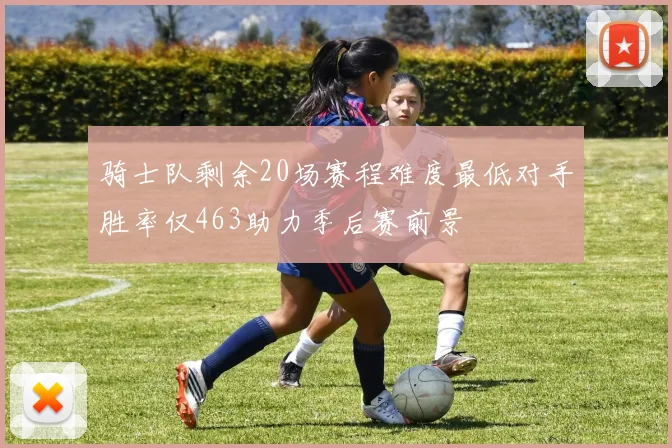 骑士队剩余20场赛程难度最低对手胜率仅463助力季后赛前景